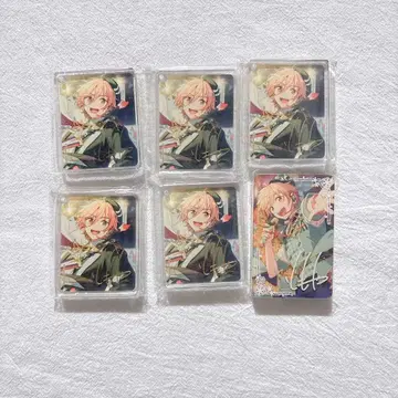 마시로 토모야 코롯타 6세트