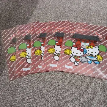 산리오 헬로키티 도쿄대학 A4 클리어 파일 5장 세트