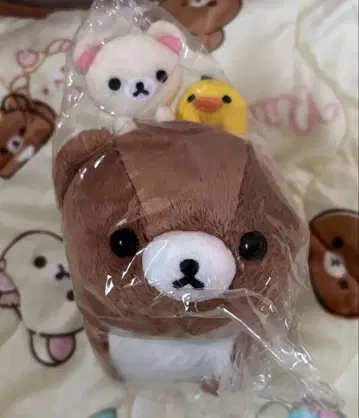 리락쿠마 스토어 한정판 차이로이코구마의 꿈 봉제 인형