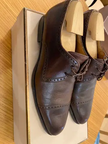 페루조 외날개 펀치드 캡토