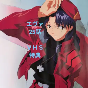 에반게리온 25화 VHS 특전 포스터