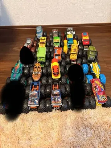 핫휠 몬스터 트럭 20대 세트