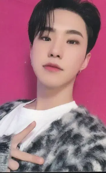 SEVENTEEN 히토리쟈나이 HOSHI 트레이딩 카드
