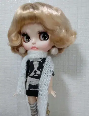작가님 커스텀 아이시 인형