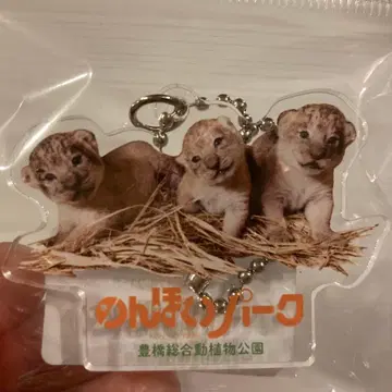 논호이 파크 아기 사자 아크릴 키링