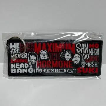 맥시멈 더 호르몬 MTH U.S.POP 플라이트 택