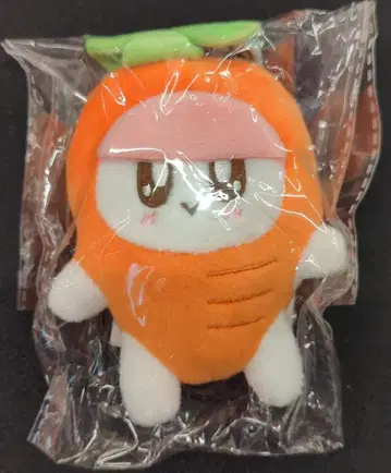 세븐틴 해피 엔딩 쇼케이스 봉봉 인형옷 당근