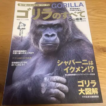 고릴라의 모든 것 야마키소 이치