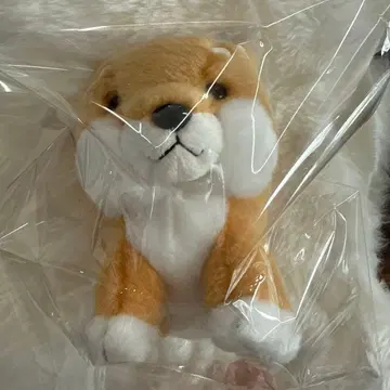 오르골 수납 가능 요시토쿠 봉제 인형 시바견 새상품