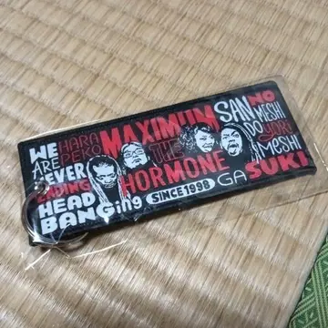 맥시멈 더 호르몬 플라이트 택 MTH U.S.POP