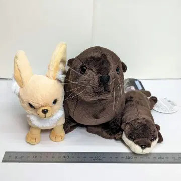 아쿠아 마린 후쿠시마 봉제 인형 3개 세트