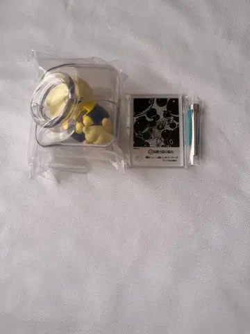 원피스 오야스미냥피스 상디