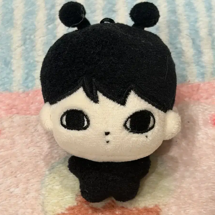 Nct Wish Sakuya Zuu Dice Doll, celebrity's item, Nwish Sakuya on