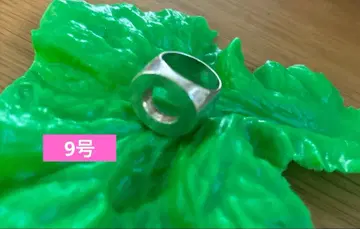 H.P.FRANC 아쉬페 프랑스 실버 925 [ 9호 ]