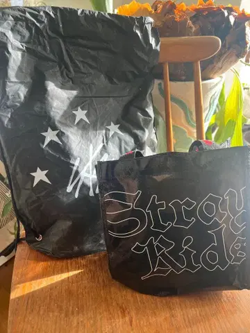 Stray kids 스키즈 업그레이드 굿즈 Ate 5ster