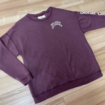 홀리스터 맨투맨