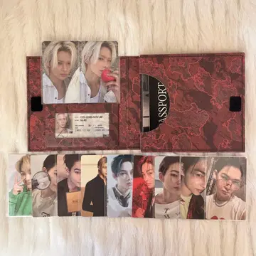 ENHYPEN THE:SIN VANISH 니키 트레이딩 카드 세트