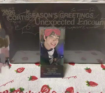 CORTIS 코르티스 시즌 그리팅 POPUP 혜택 공호