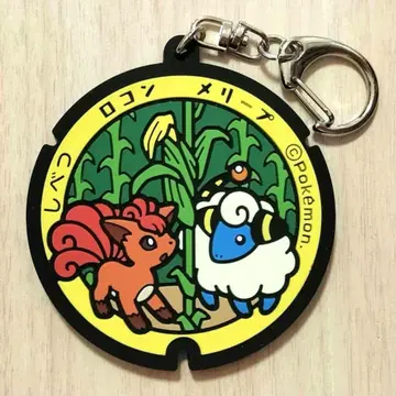 포켓몬 러버 키링 포켓몬go 포켓몬 홋카이도 로토무 멜리