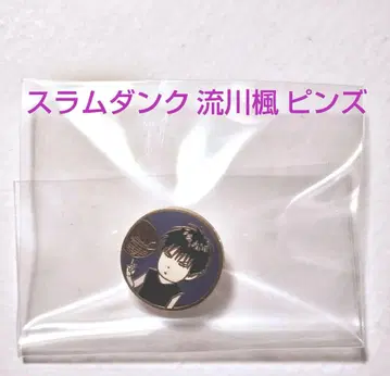 슬램덩크 SLAMDUNK 서태웅(루카와 카에데) 핀즈