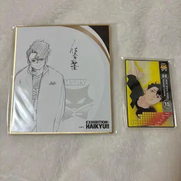 하이큐!! 하이큐전 사쿠사 키요오미 색지 스탯 카드