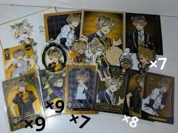 트위스테 라기 부치 묶음 판매