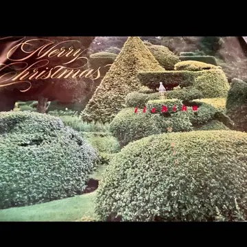 레어 우에다 요시히코 이이치코 iichiko 대형 포스터