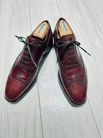 스테파노 베이멜 풀 브로그 버건디 생존기 극상 40.5