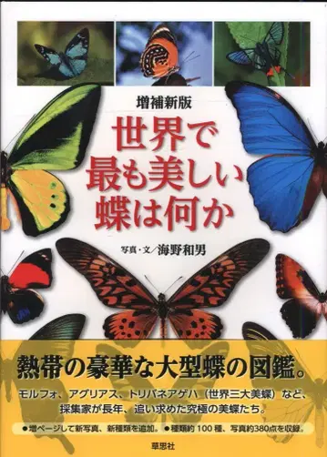 우노 카즈오 세계에서 가장 아름다운 나비는 무엇인가 증보신판
