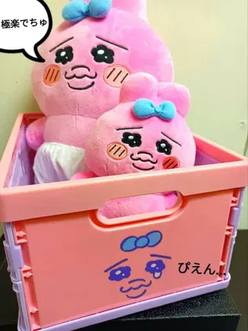 [인기 최고!] 빤쮸토끼 수납 박스 점령 빤쮸 세트입니다