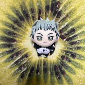 하이큐 누이프리케 mini