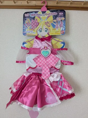 변신 프리튬 큐어 아이돌