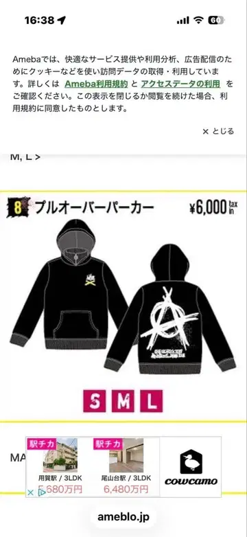 ONE OK ROCK ambitions 2017 풀오버 후드티 L