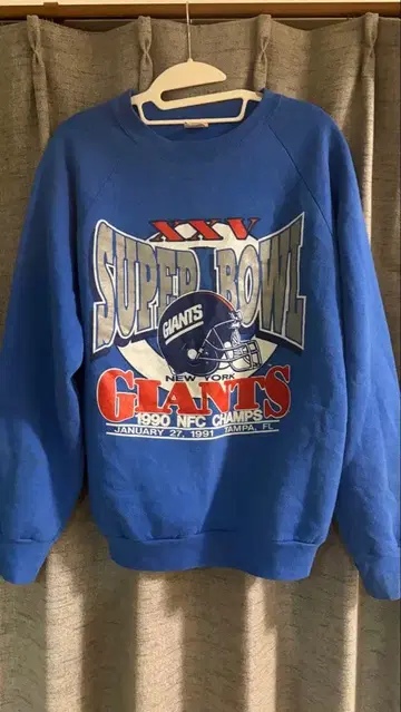 FRUITS OF THE LOOM 트레이닝복 90s made in USA