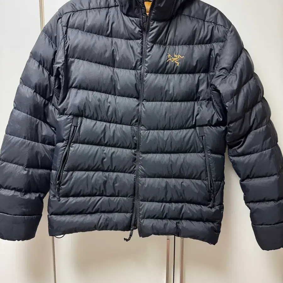 Arc'teryx Thorium AR 24K on Bunjang Global Site.