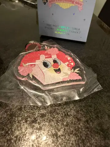 파워퍼프걸 케이스티파이