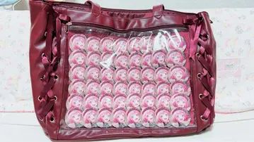 호우 에무 이타백 프로세카 42개 캔뱃지뿐