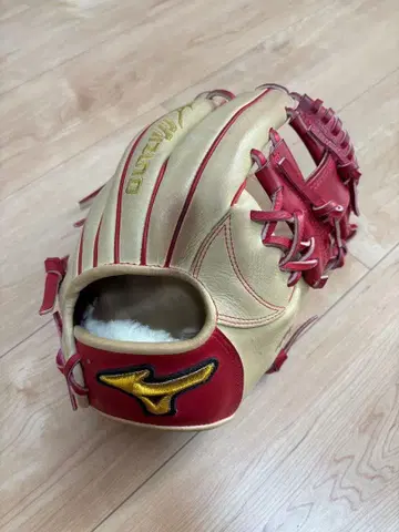 미즈노 프로 연식 그랩