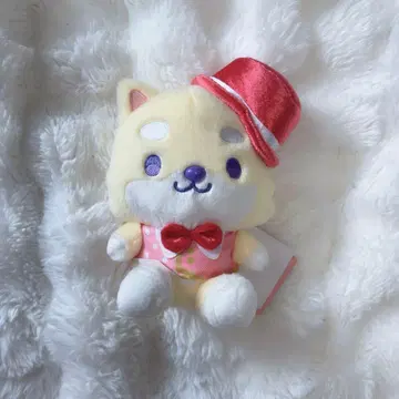 JOCHUM 꾸미기 마메치