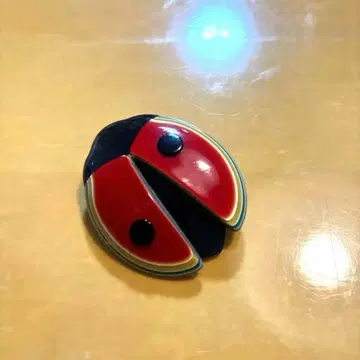 프랑스제 LEA SIEIN 앤티크 브로치