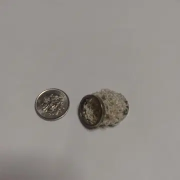 가르니의 반지입니다.