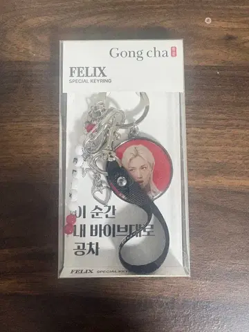 FELIX SPECIAL 키링