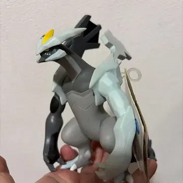 포켓몬 소프트 비닐 피규어 블랙큐렘 택 포함 미사용품