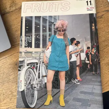 FRUITS No.100 2005.11 540엔