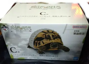파충류&양서류 제일복권 C상 헤르만 육지거북 헤아림Ver.