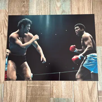 안토니오 이노키 대 알리전 내일 포스터 사인 없는 사진 5