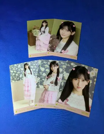 노기자카46 이케다 에이사 할로윈 2025 5종 컴프