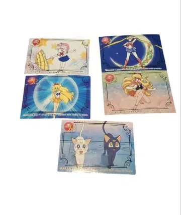 세일러문 인형 골판지 카드 세트 2 세일러 팀 당시