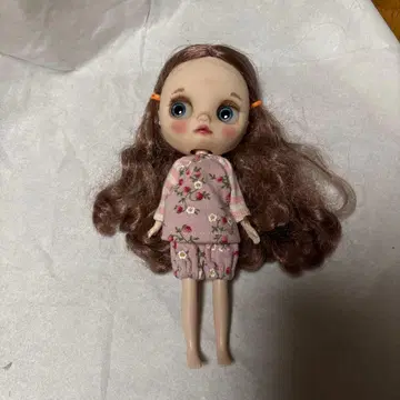 미디 브라이스 커스텀 인형입니다. 의류 포함. 갈아입힐 옷도