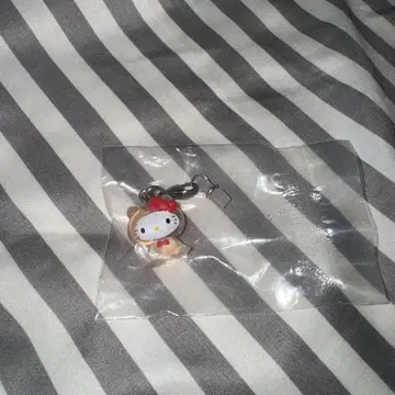 키티 메지루시 참